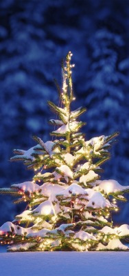 Ель новый год огни Spruce new year lights