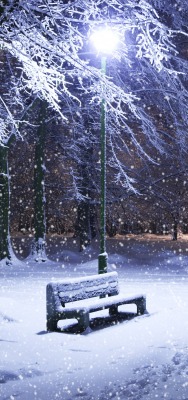 Снег парк лавочка фонарь