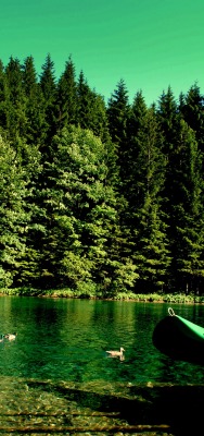 природа лодка деревья озеро