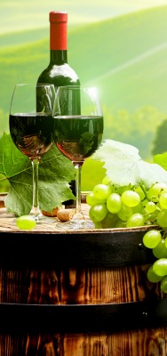 виноград грозди вино