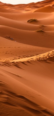 пустыня дюны барханы красный песок