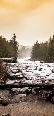 река горная река камни лес туман