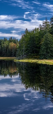 озеро штиль лес отражение