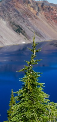 озеро горы синее ели