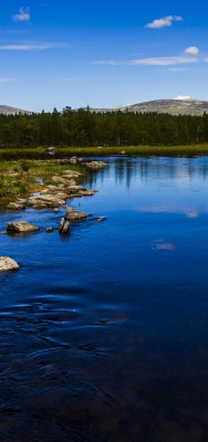 река ясный день лето отражение голубой