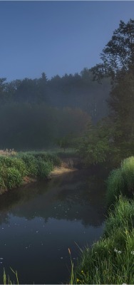 речка поле туман утро рассвет