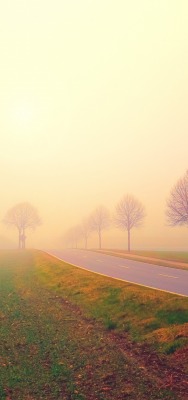 дорога туман рассвет