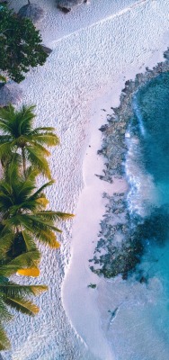 пляж пальмы море фото с дрона