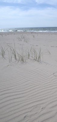 пляж балтийское море куршская коса
