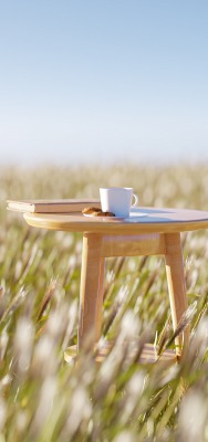 стул стол поле завтрак