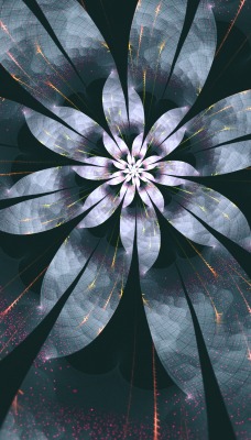 цветок абстракция flower abstraction