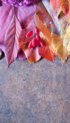 разноцветные листья плитка