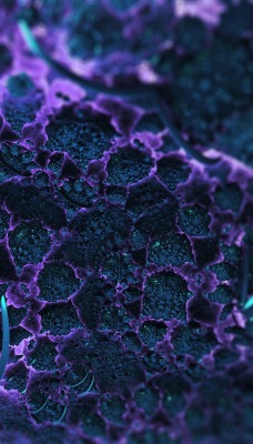 фрактал абстракция фиолетовый лазурит