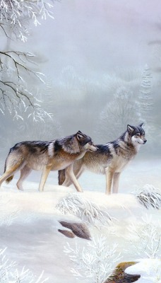 Волки на снегу
