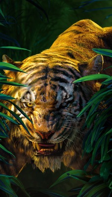 тигр оскал джунгли