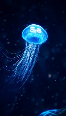 медуза неон свечение глубина частицы
