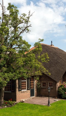 Дом с соломенной крышей