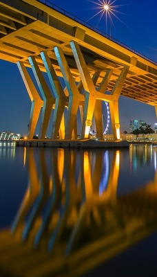 светящийся мост и город