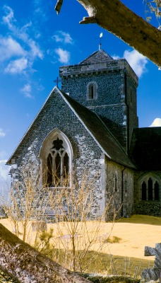 церковь ветки дерево