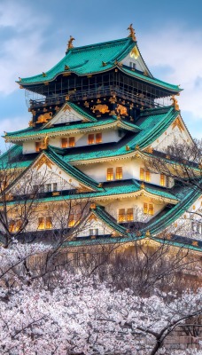 Замок Осака Япония сакура