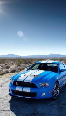 Blue Shelby