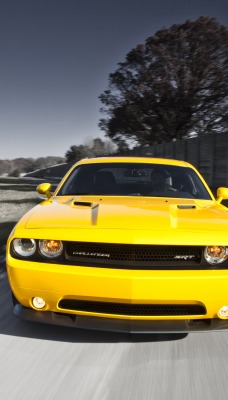 Желтый Dodge Challenger