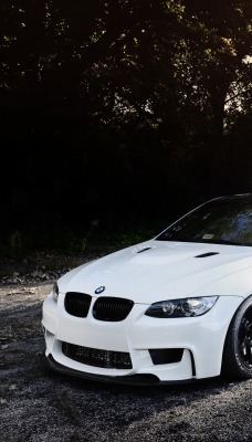 BMW на лесной дороге
