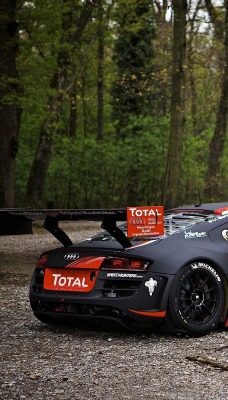 спортивная Audi в лесу