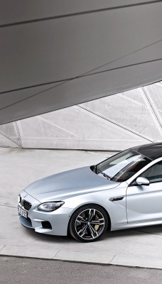 серо-белая BMW