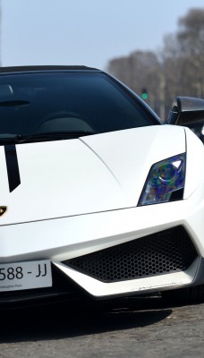 белая lamborghini