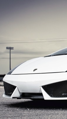 Lamborghini ламборгини белая кабриолет