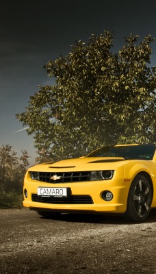 жетый автомобиль Chevrolet Camaro