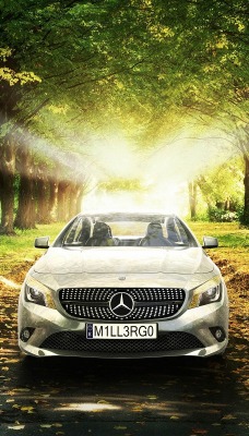 серый автомобиль природа деревья Mercedes