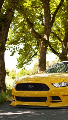 Автомобиль желтый Ford Mustang