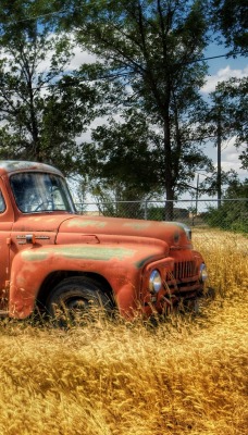 природа оранжевый автомобиль трава ангар деревья