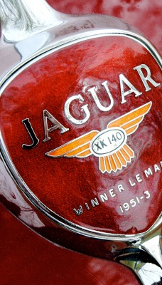 Jaguar