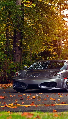 серый автомобиль Ferrari F430 Scuderia