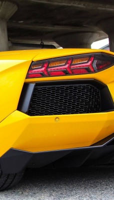 спортивный автомобиль lamborghini aventador 50th anniversary