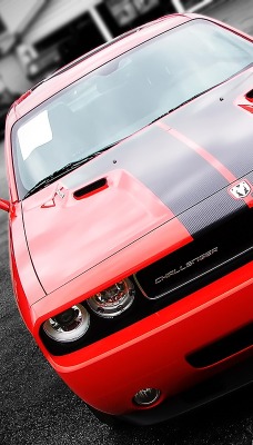 красный спортивный автомобиль Dodge Challenger red sports car