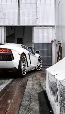 ламборгини белая Lamborghini white