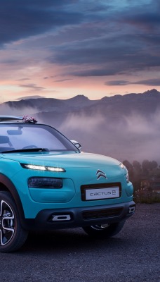 синий автомобиль citroen cactus m