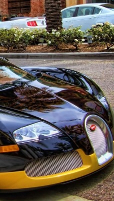 bugatti veyron