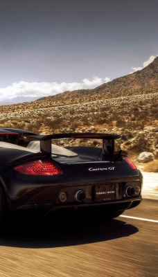 porshe carrera GT