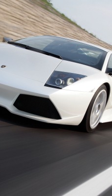 ламборгини белая Lamborghini white