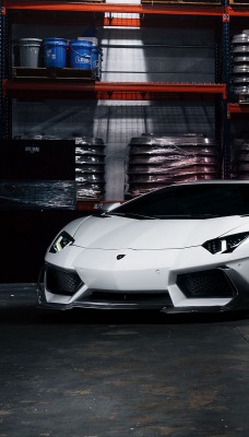 спортивный автомобиль белый lamborghini aventador