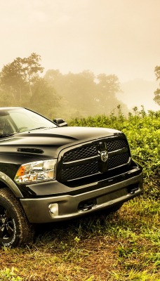 Dodge Ram лес дорога