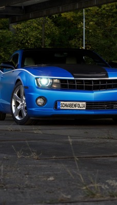 Chevrolet Camaro стоянка лес