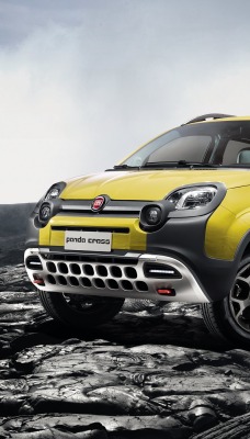 Fiat Panda горы