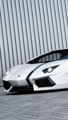 Lamborghini Aventador гараж тротуарная плитка