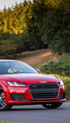 Audi TT купе лес деревья